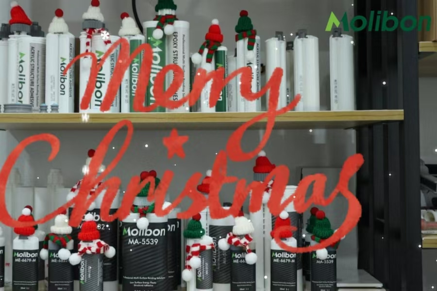 Frohe Weihnachten und ein gutes neues Jahr!